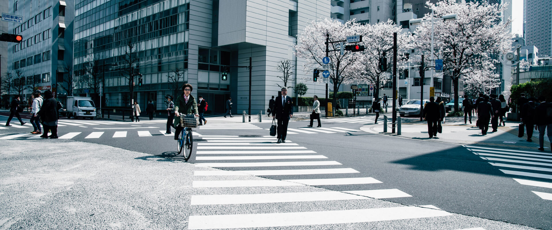 1xBet partner program